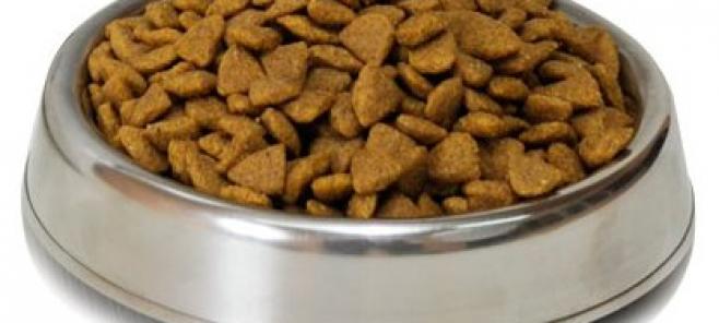 Cuanto debe comer mi chihuahua?