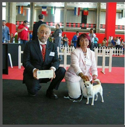 EXPOSICIÓN INTERNACIONAL DE BADAJOZ 2014