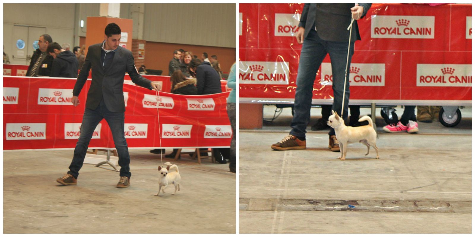 EXPOSICIÓN INTERNACIONAL ZARAGOZA 2014