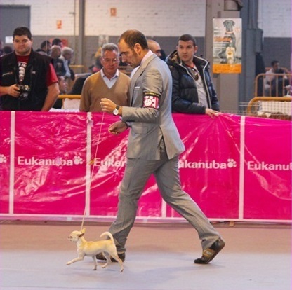Exposición Internacional de Martorell 2012