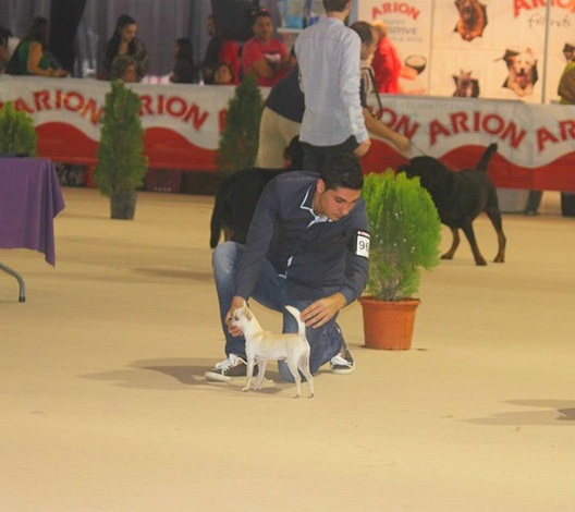 II EXPOSICIÓN INTERNACIONAL VALLS.