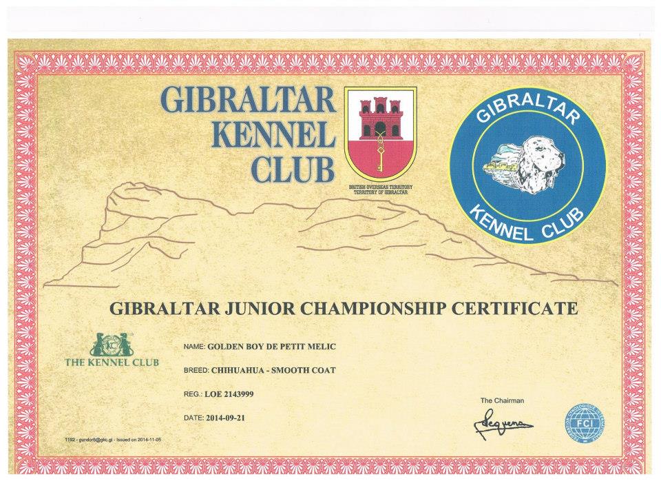 Petit Melic Golden Boy NUEVO CAMPEÓN JOVEN DE GIBRALTAR.